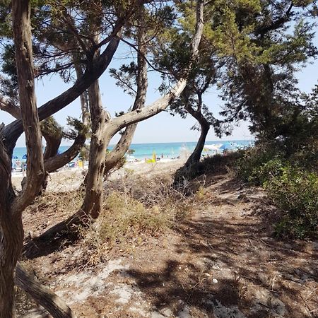 Casa Turquoise Blue Villa Porto Ottiolu Eksteriør bilde