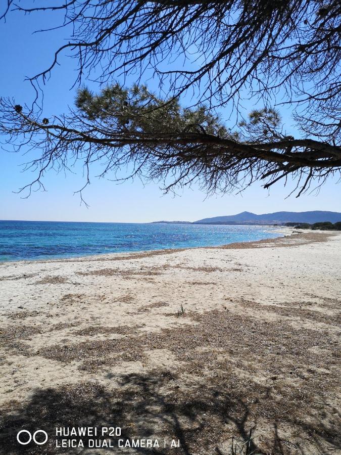 Casa Turquoise Blue Villa Porto Ottiolu Eksteriør bilde