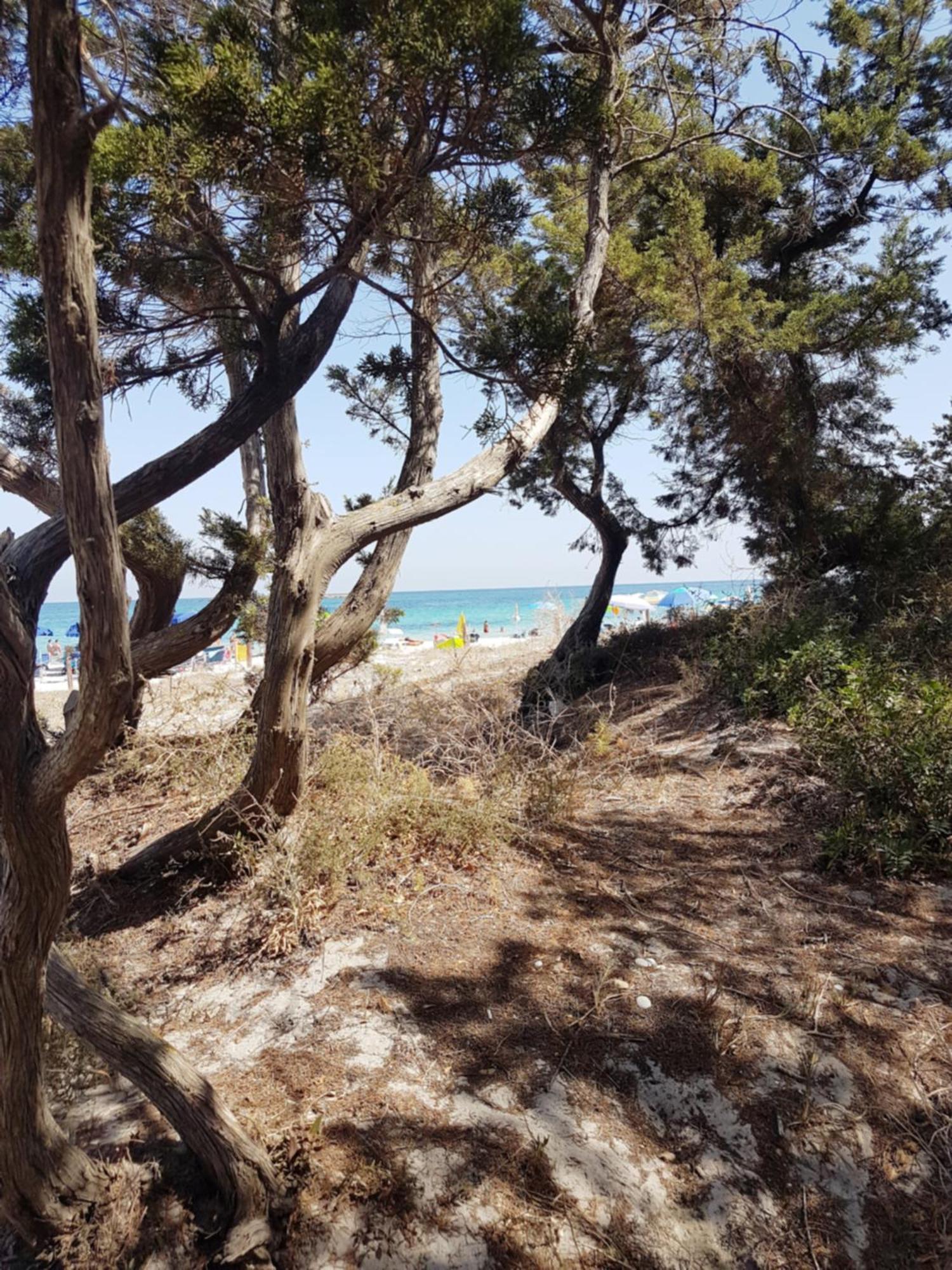 Casa Turquoise Blue Villa Porto Ottiolu Eksteriør bilde