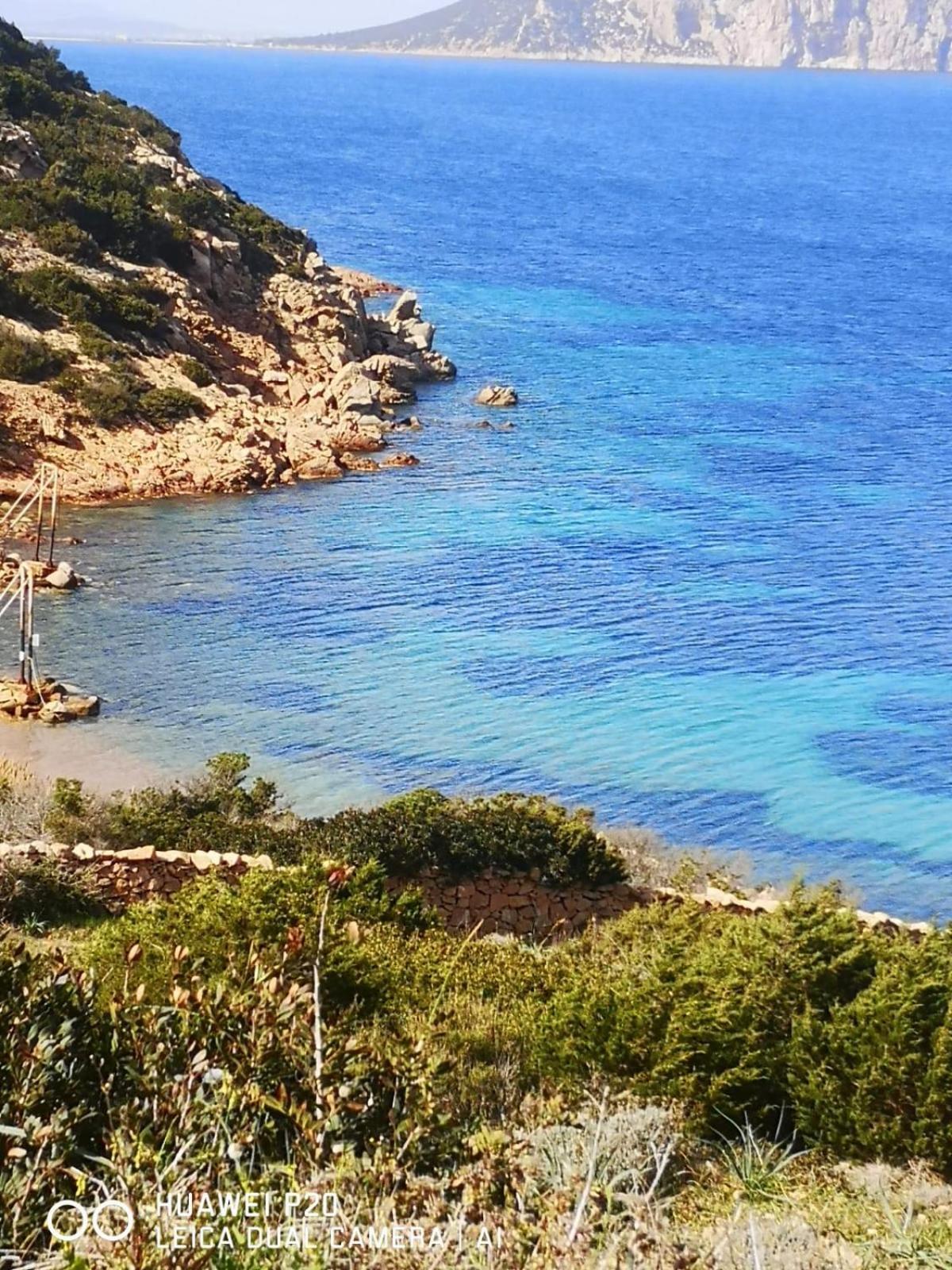 Casa Turquoise Blue Villa Porto Ottiolu Eksteriør bilde